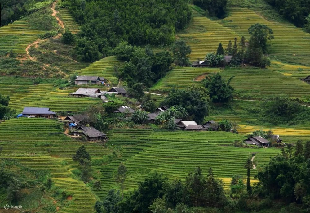 Bản Tả Phìn: Vùng Đất Của Văn Hóa Dao Đỏ