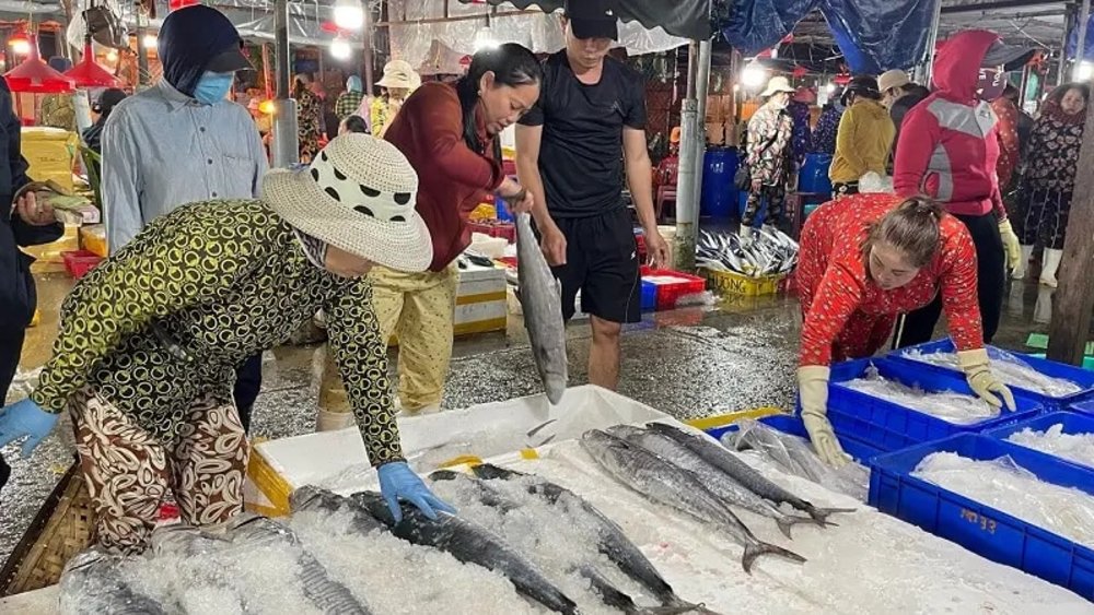 Điểm Cập Bến Của Tàu Cá Ngừ Đại Dương