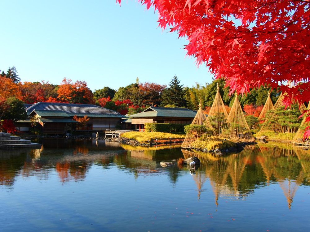 SG - shirotori garden