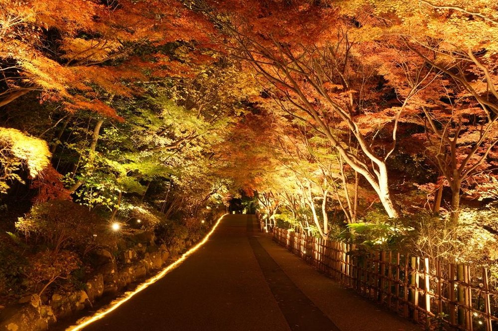 SG - higashiyama zoo & botanical garden