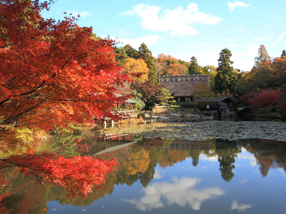 SG - Higashiyama Zoo and Botanical Garden