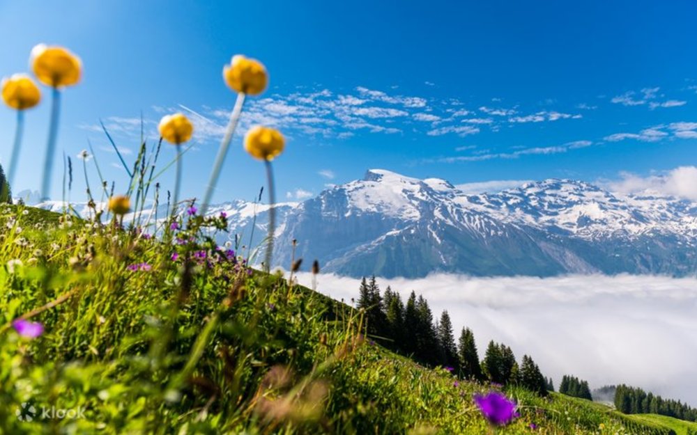 Chuyến Đi Trong Ngày Đến Lucerne Và Núi Rigi