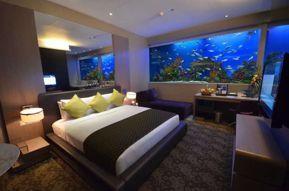 hotel-h2o