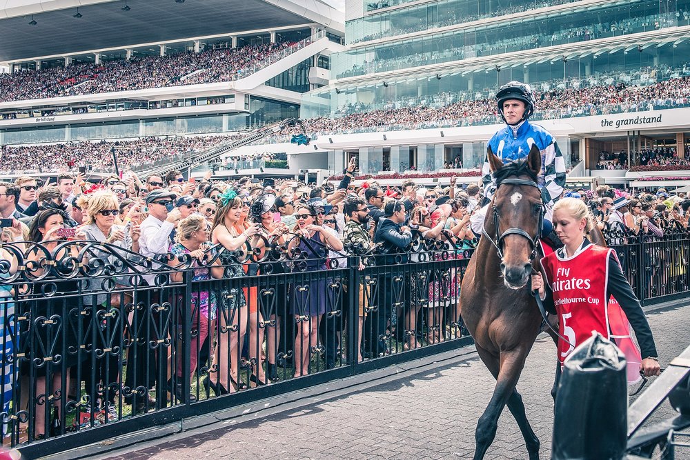 Melbourne Cup | Image credit: Chris Phutully, CC BY 2.0, via Wikimedia Commons