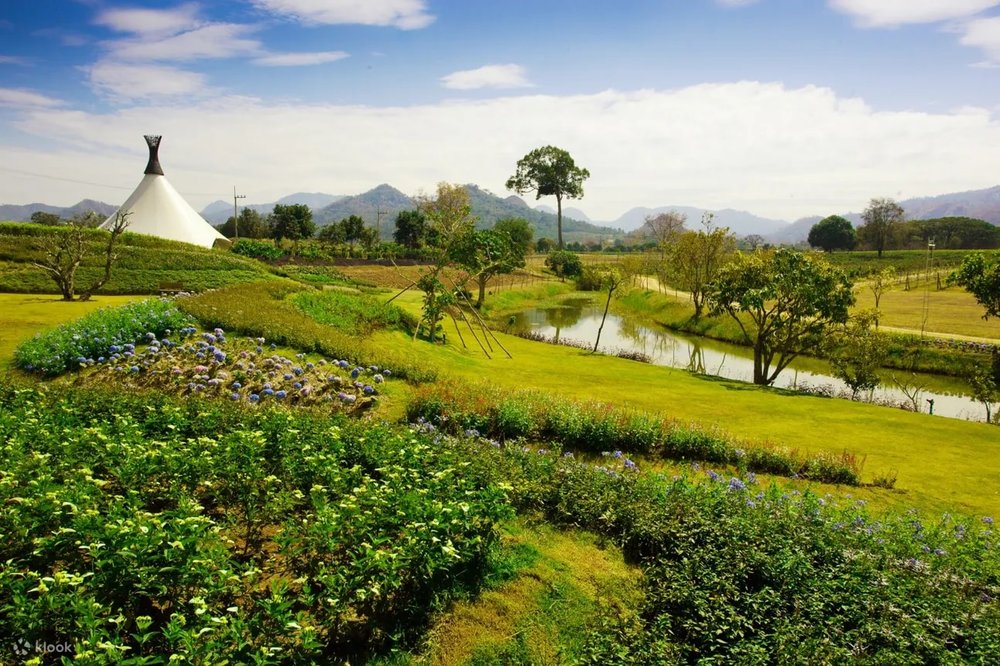 Chiều: Dạo Quanh Vườn Nho PB Valley Và Thử Rượu Vang
