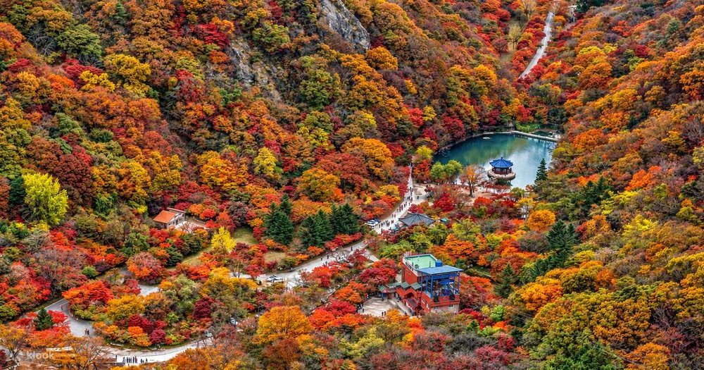 Vườn Quốc Gia Naejangsan (Jeollabuk-do)