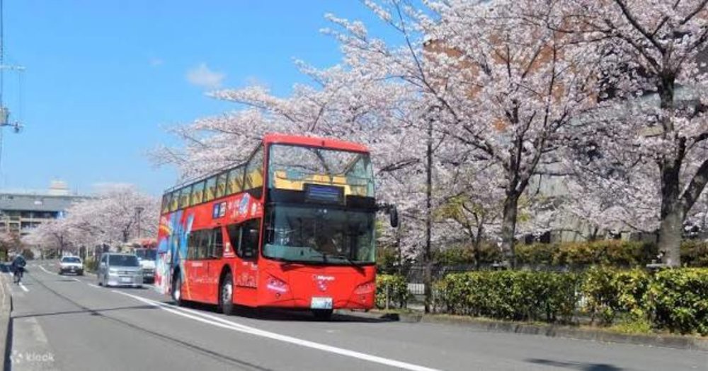 Gợi Ý Cách Đi Xe Buýt Đến Các Điểm Tham Quan Nổi Tiếng