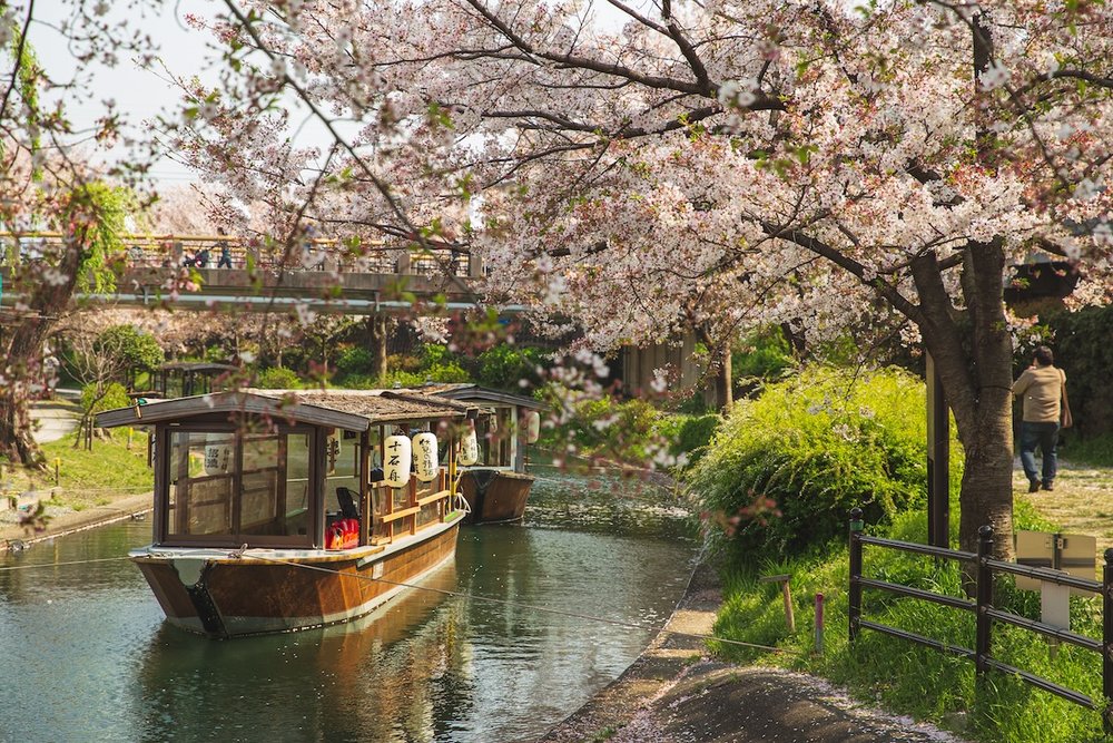 kyoto spring