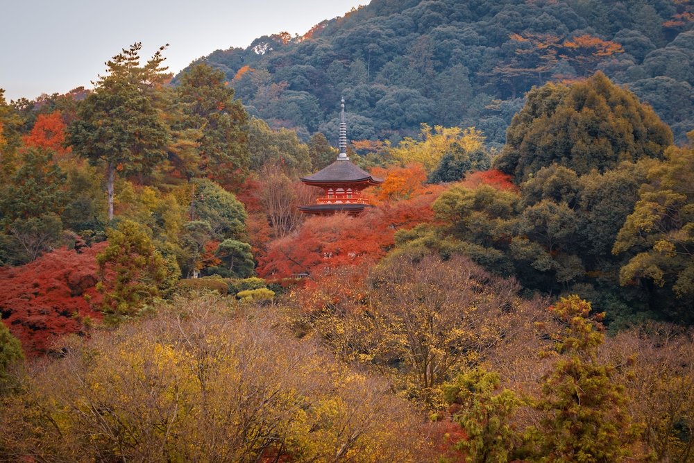 kyoto fall