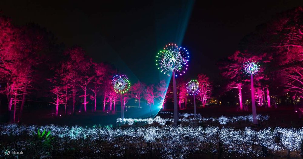 Delight Park Đà Lạt: Tọa Độ Vui Chơi Mới Kế Bên Hồ Than Thở