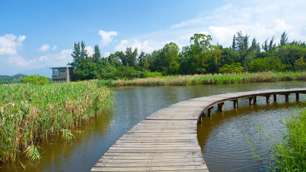 濕地公園親子好去處