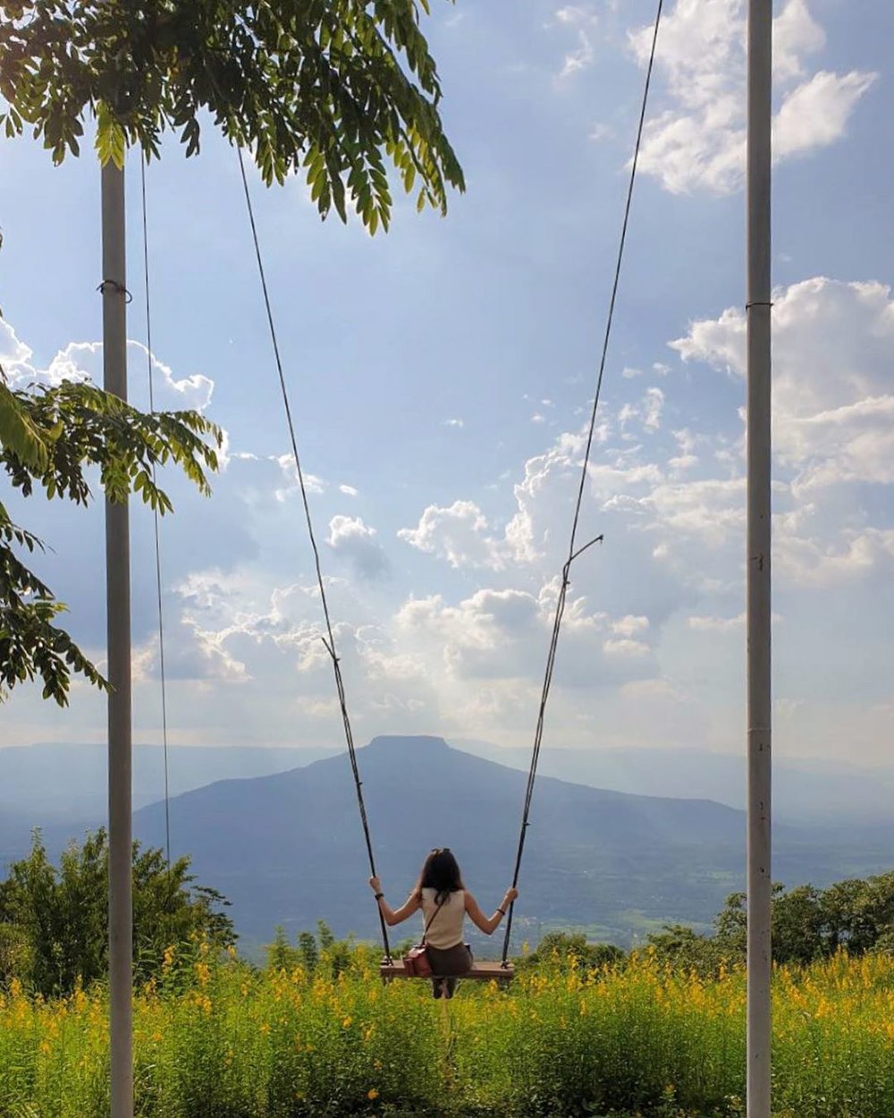 ภูป่าเปาะ ฟูจิเมืองไทย