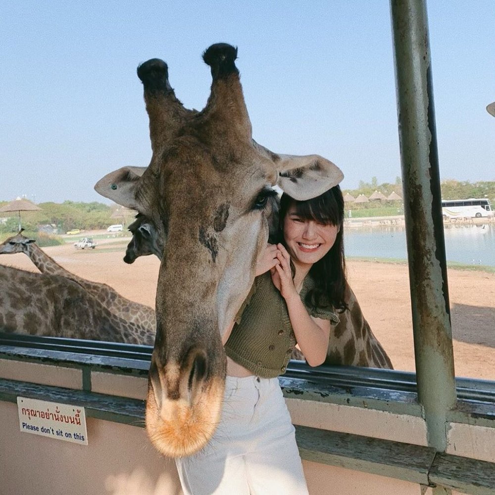 โค้ดซาฟารีเวิลด์ส่วนลด 