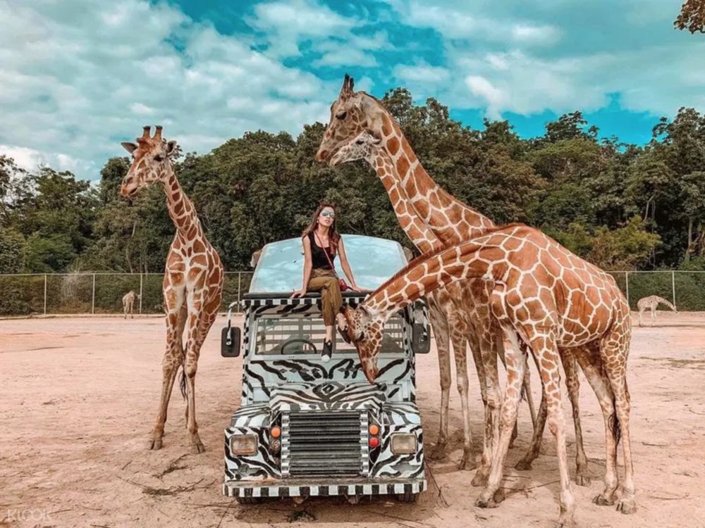 สวนสัตว์เปิดซาฟารีปาร์ค (Safari Park Open Zoo) ในกาญจนบุรี 