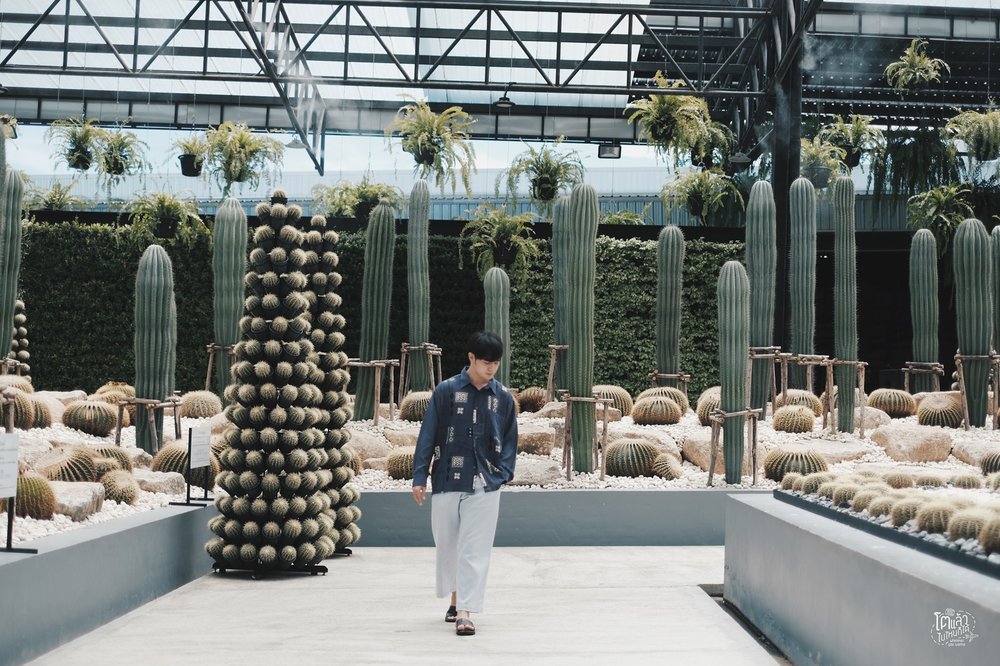 เที่ยวใกล้กรุงเทพ สวนนงนุช พัทยา