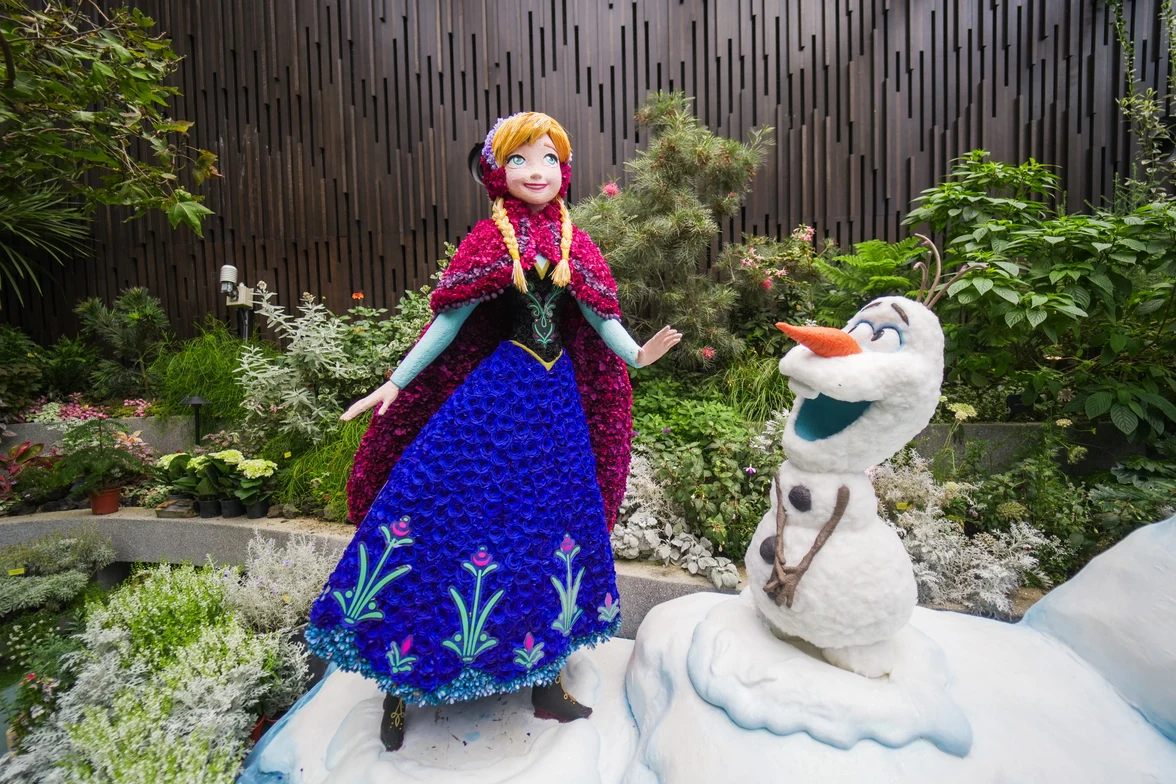 Frozen