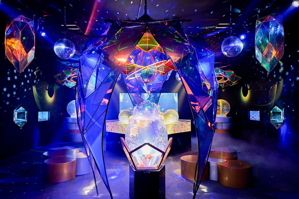 hightlights-image