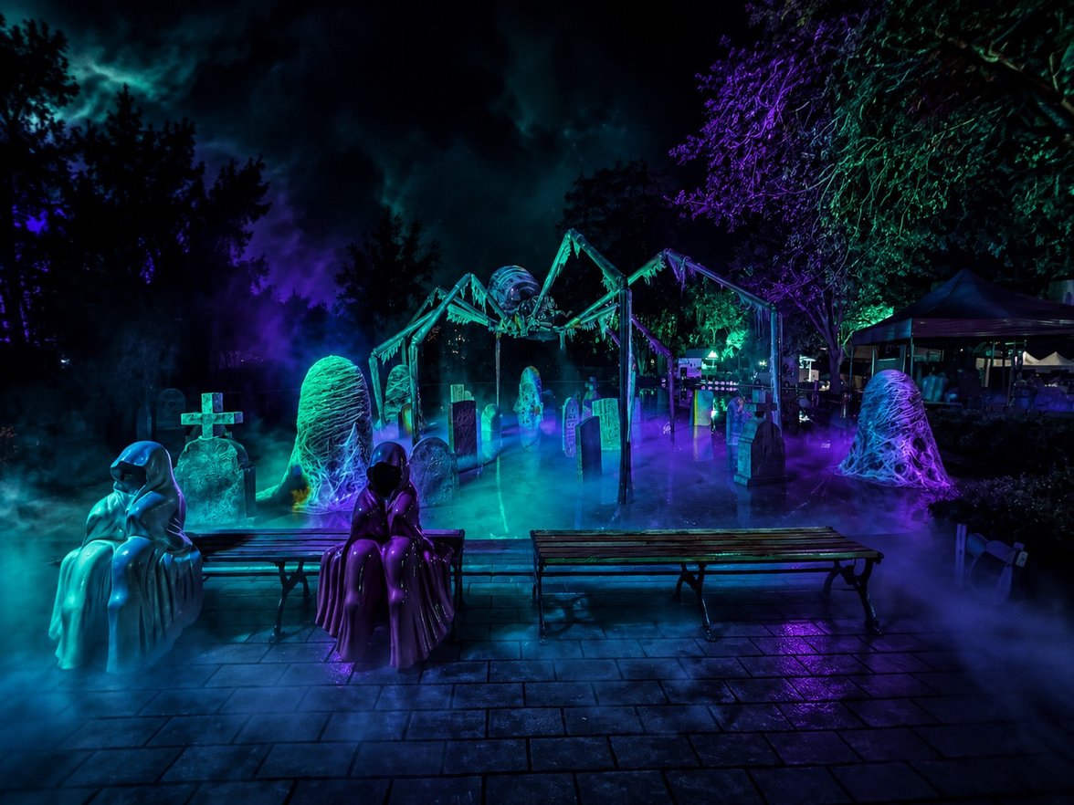 hightlights-image