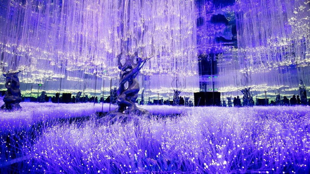 hightlights-image