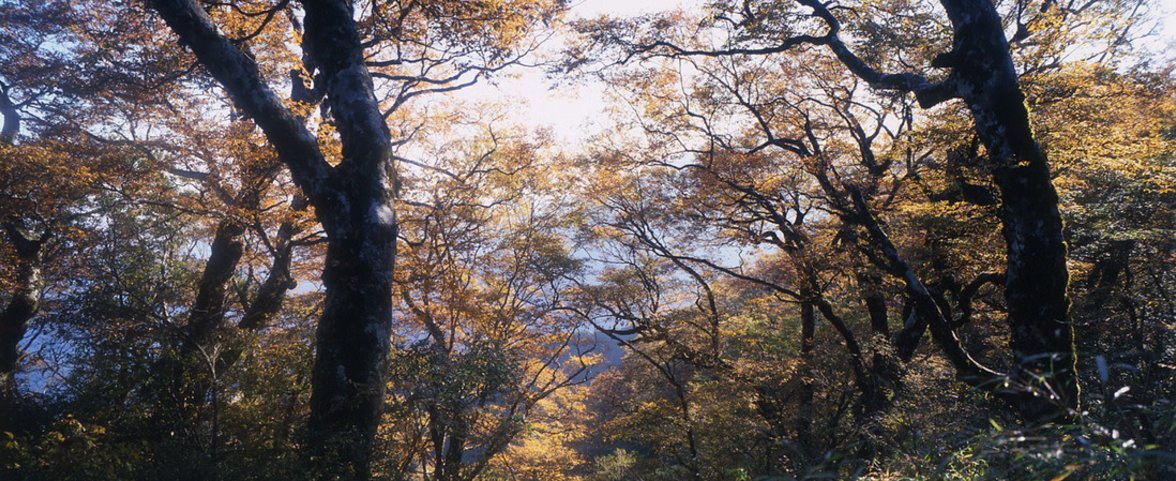hightlights-image