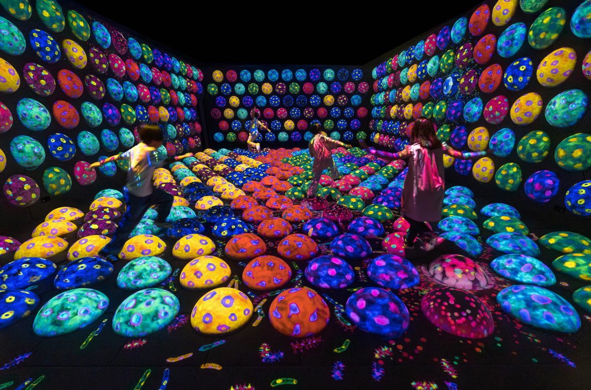 hightlights-image
