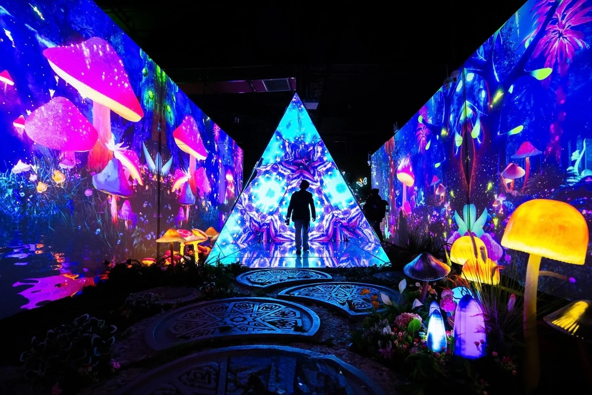 hightlights-image