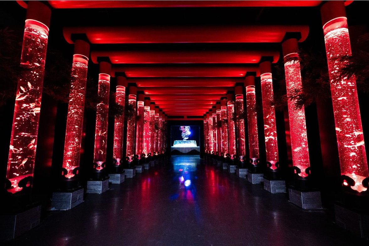 hightlights-image