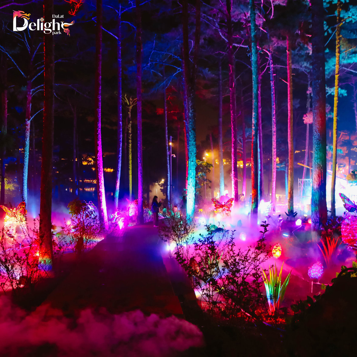 hightlights-image