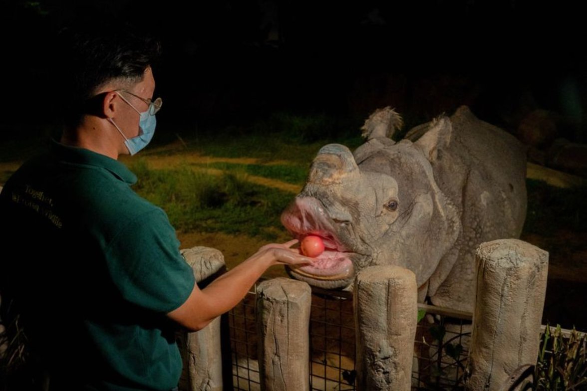 rhino-feeding-900x600