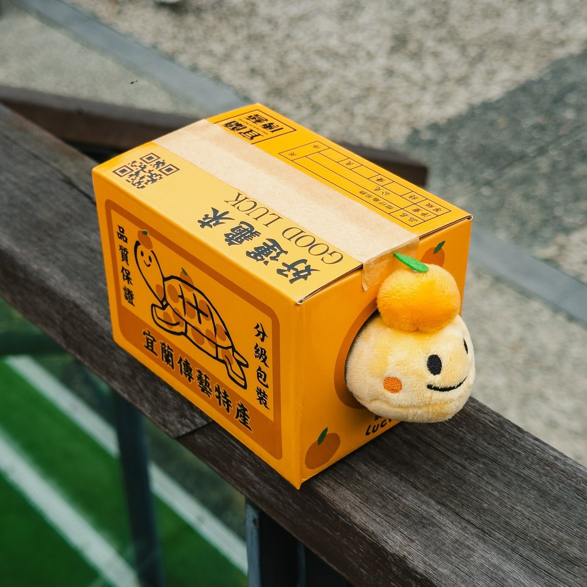 柑仔龜2
