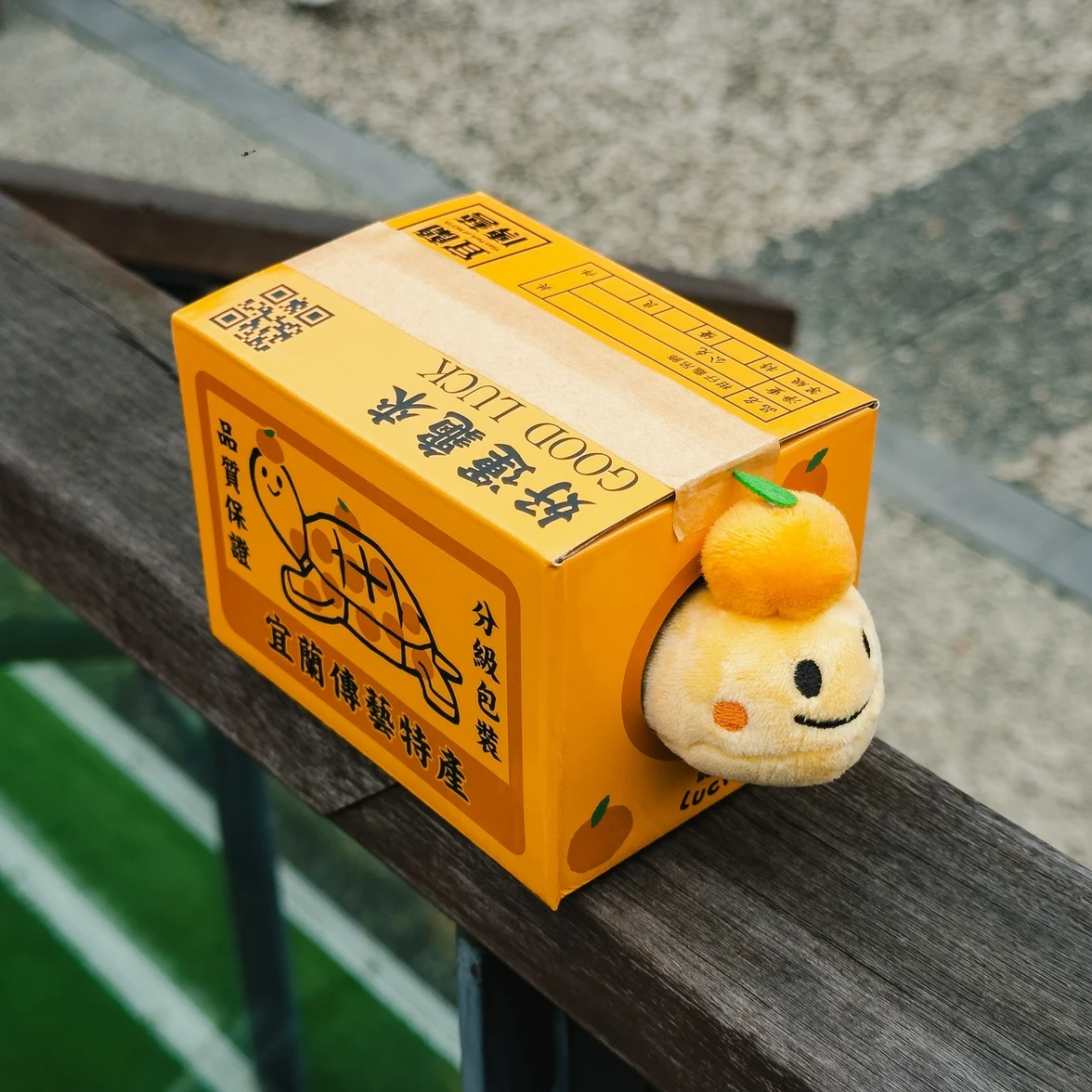 柑仔龟2