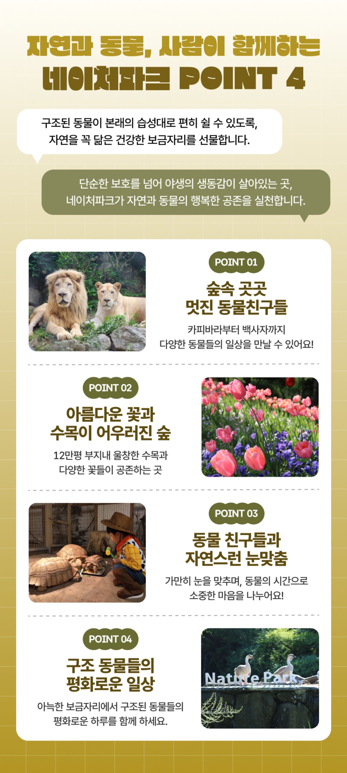 4-1네이처파크_가을