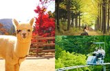 Top Things To Do in Gangwon-do: Korea’s Adventure Province