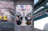A Definitive Guide to Trains in Tokyo: The Best Way to Get Around the City