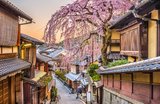 京都のお花見・桜名所15選｜絶景スポット・おすすめアクティビティまとめ