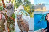 Furry and Fuzzy: 10 of Australia's Most Lovable Animals and Where to See Them