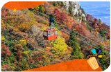 【大阪賞楓攻略】2026前線預測&十大紅葉景點推薦