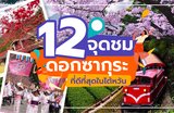 12 จุดชมดอกซากุระที่ดีที่สุดในไต้หวัน