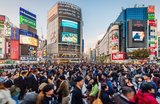 Beste Reisezeit Japan: Wann lohnt sich eine Japan-Reise wirklich?
