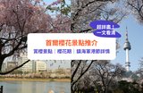 首爾櫻花｜2026首爾櫻花時間預測！市區 & 近郊20大賞櫻景點推介（附路線、交通方法）