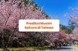 Prediksi Musim Bunga Sakura di Taiwan: Wajib Tahu Sebelum Berlibur ke Taiwan di Awal Tahun!