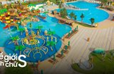 Kinh Nghiệm Đi Tropicana Park Hồ Tràm Cho Gia Đình A-Z