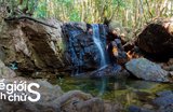 Trekking Suối Đá Bàn: Chinh Phục "Thạch Trận" Phú Quốc