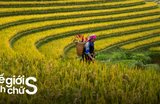 Lịch Trình Sapa 3 Ngày 2 Đêm Tự Túc Dưới 3 Triệu Đồng