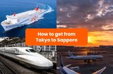 Tokyo to Sapporo: Traveling by Plane, Shinkansen, Ferry and Car