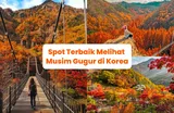 20 Tempat Terbaik untuk Pemandangan Musim Gugur di Korea