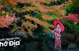 11 Lễ Hội Mùa Thu Nhật Bản Tuyệt Vời Để Tận Hưởng Mùa Lá Đỏ