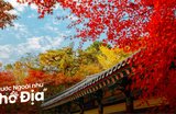20 Địa Điểm Du Lịch Hàn Quốc Tháng 11 Không Nên Bỏ Lỡ