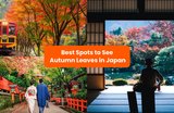 20 Best Places to See Autumn Leaves in Japan 2023: Japan’s Official Fall Foliage Forecast 2023 Has Been Released!