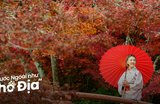 19 Địa Điểm Du Lịch Nhật Bản Tháng 11 Ngắm Lá Phong Đẹp Nhất